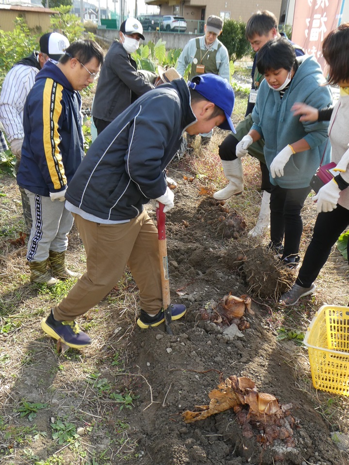 ユニバーサル農園体験2