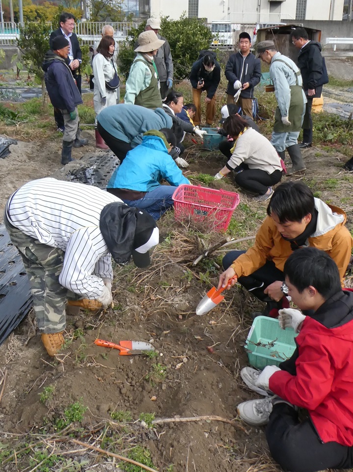 ユニバーサル農園体験4