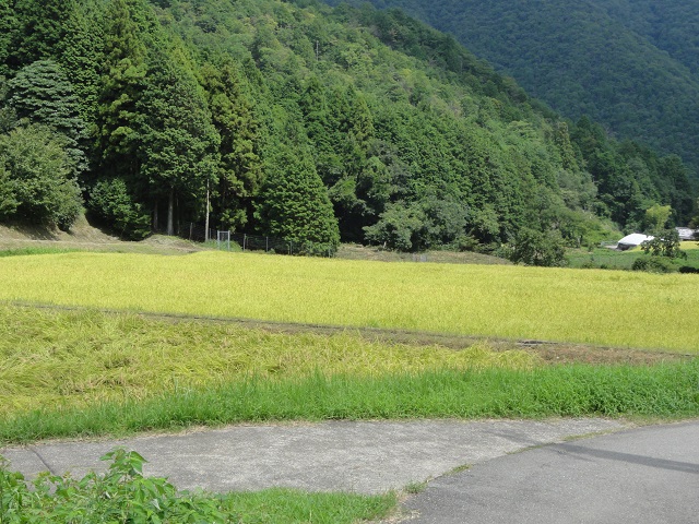 笛路村の風景
