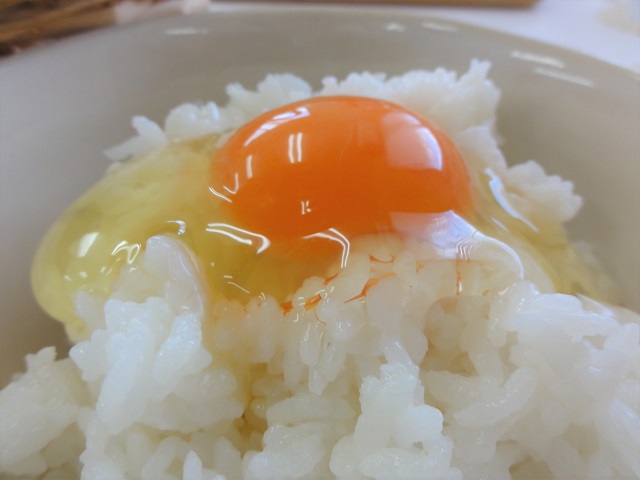 新鮮なたまごかけご飯
