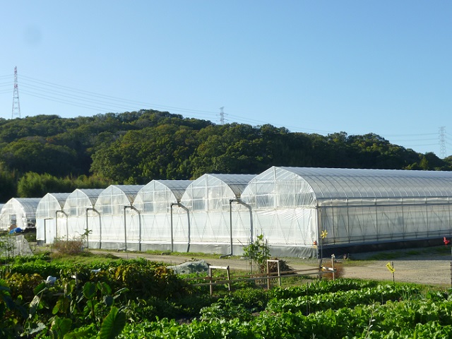 すまいるふぁーむ藤本