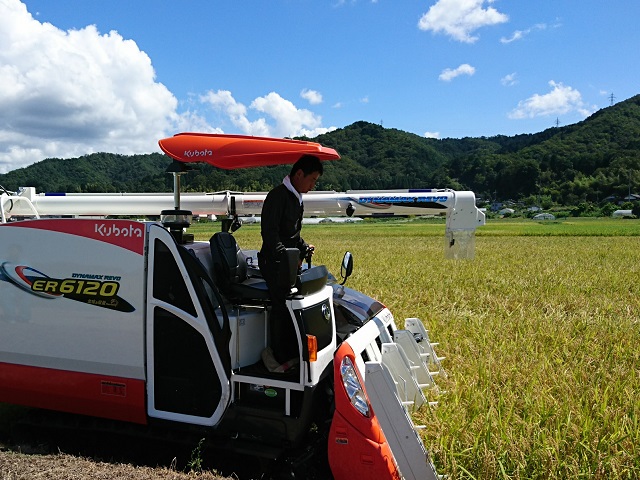 青空のもと稲刈りをする宮下さん