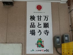 万願寺甘とう検品場