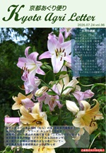 京都あぐり第96号