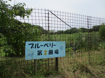 farmgardensorashido170705-1.jpg