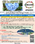 kohosi65gos.png