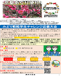 kohosi72gos.png
