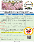 広報誌第74号
