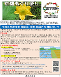 広報誌第78号