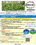 広報誌第81号