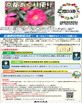 kohosi84gos.png