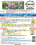 kohosi88gos.png