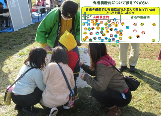 seika3.png