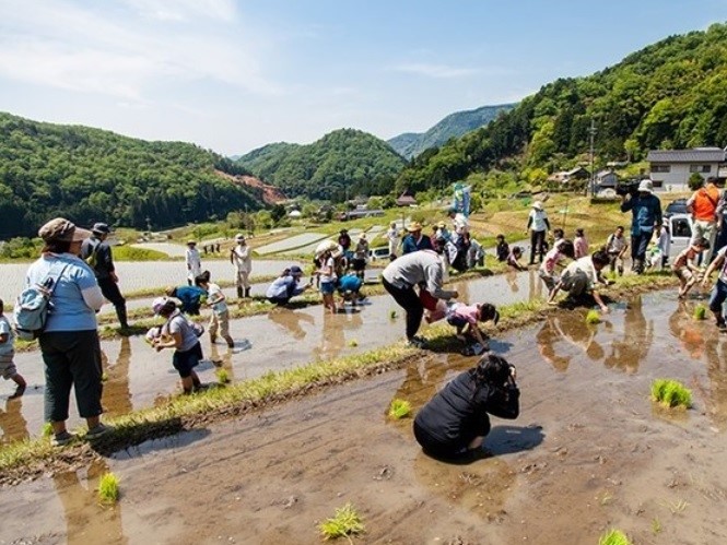 田植えイベントの様子