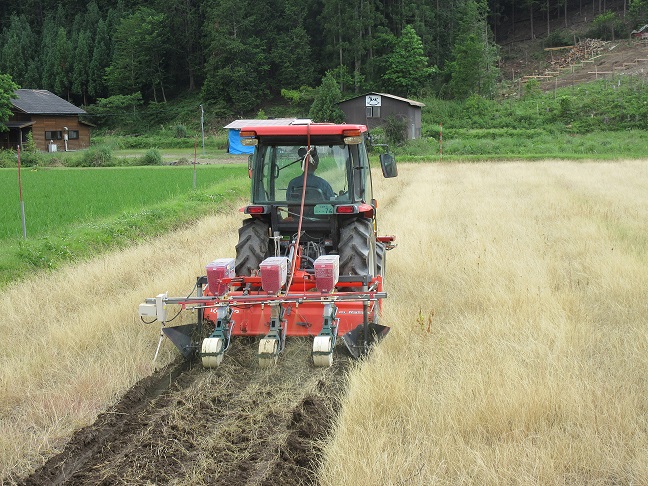 作業風景（大豆の播種）