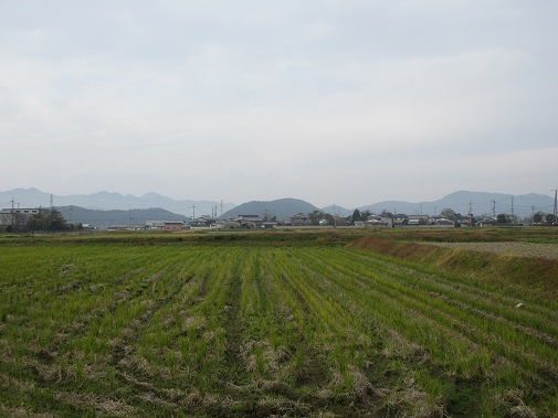 asahi02.JPG