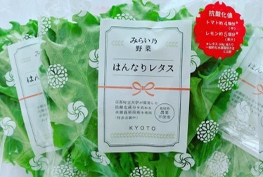 yasai8.jpg