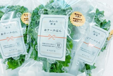 yasai9.jpg