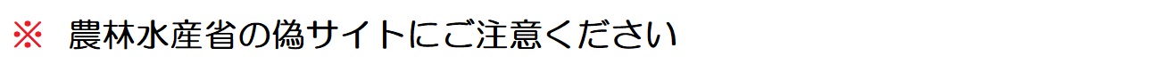偽サイト