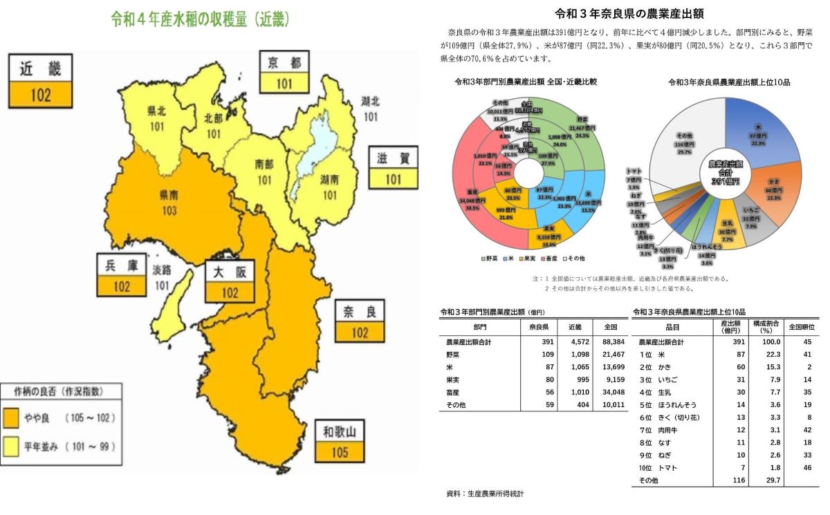 水稲収穫量