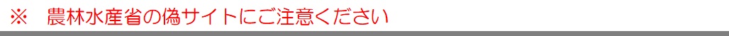 偽サイト