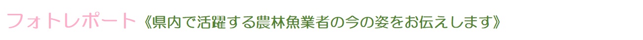 Topicフォトレポート