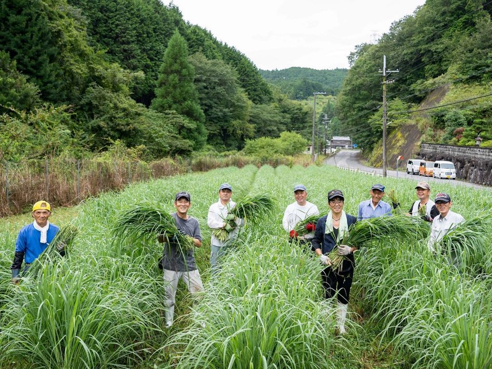 集合写真