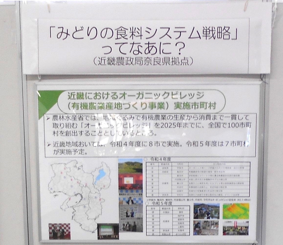 フェス2023