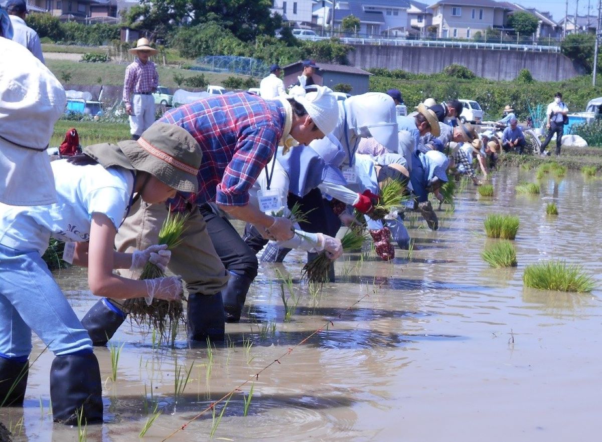 荒廃農地を利用して楽しく農作業体験