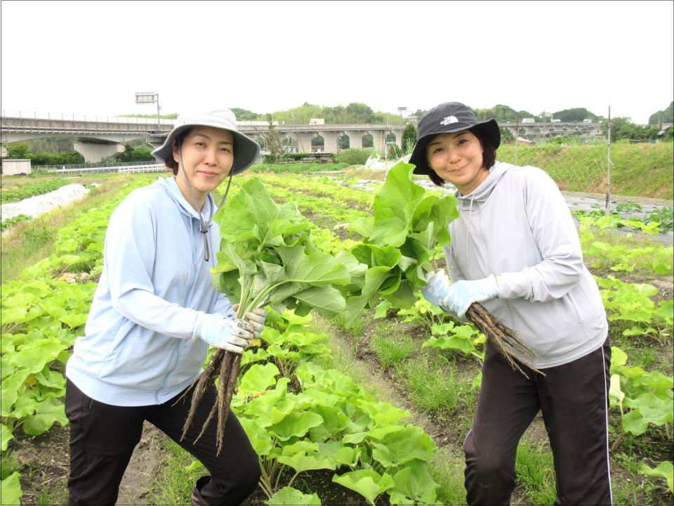さかやまファーム