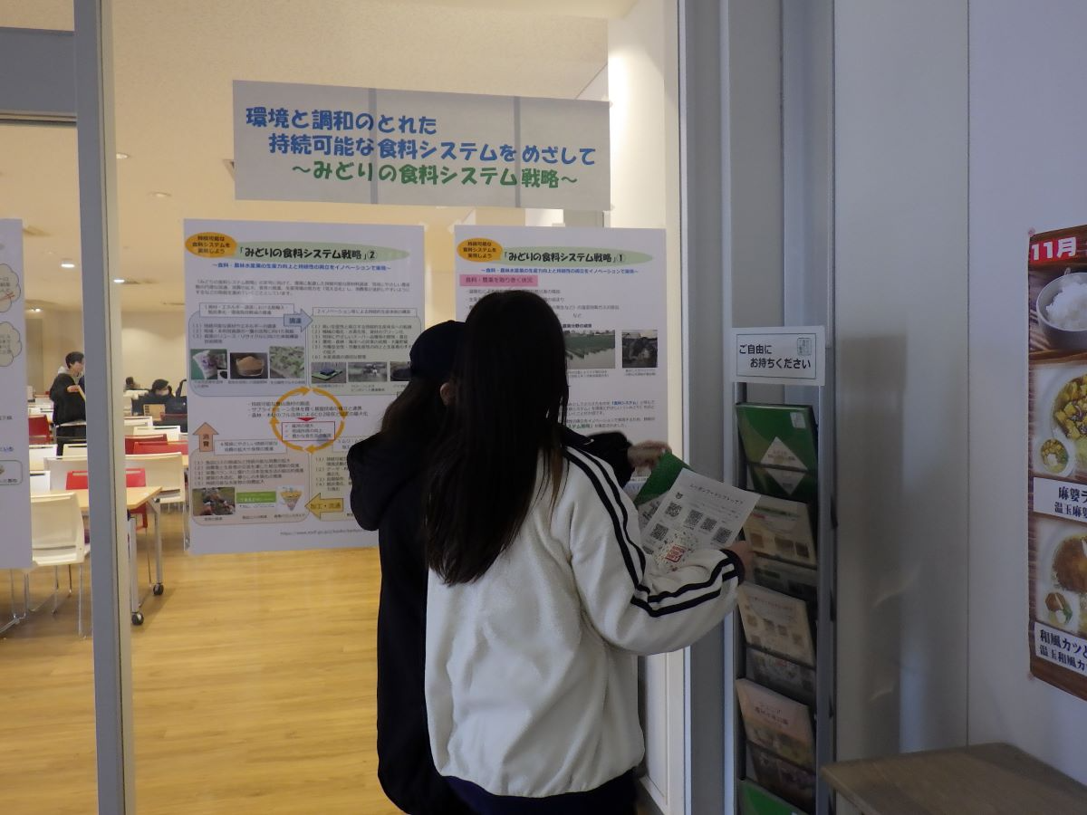 パネル展示