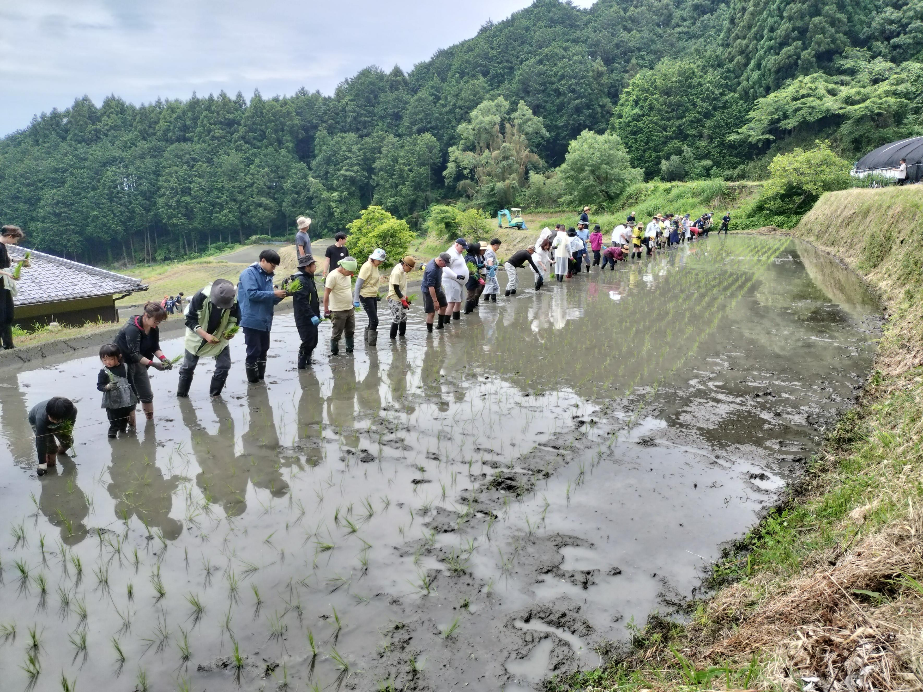 秋津穂の里　『里山保全２０２５』　棚田の田植え ～里山を未来へ繋ぐ～