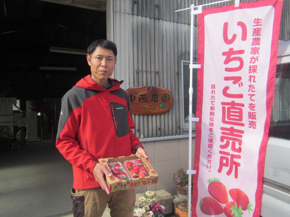 奈良で楽しむいちご狩り＆直売 摘みたてをそのまま味わってほしい ～中西農園（香芝市）～