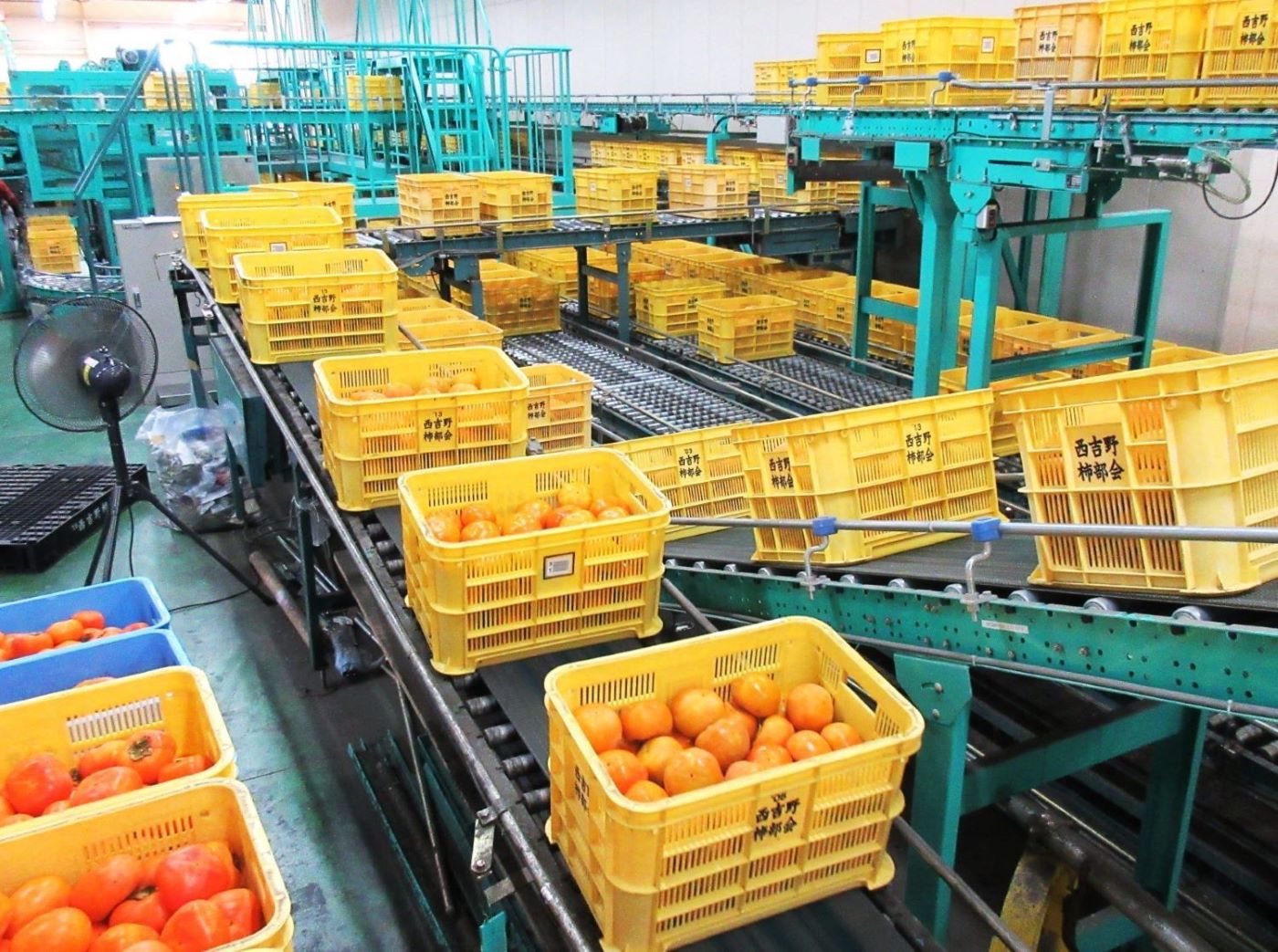 【生産者ごとのバーコードで管理】