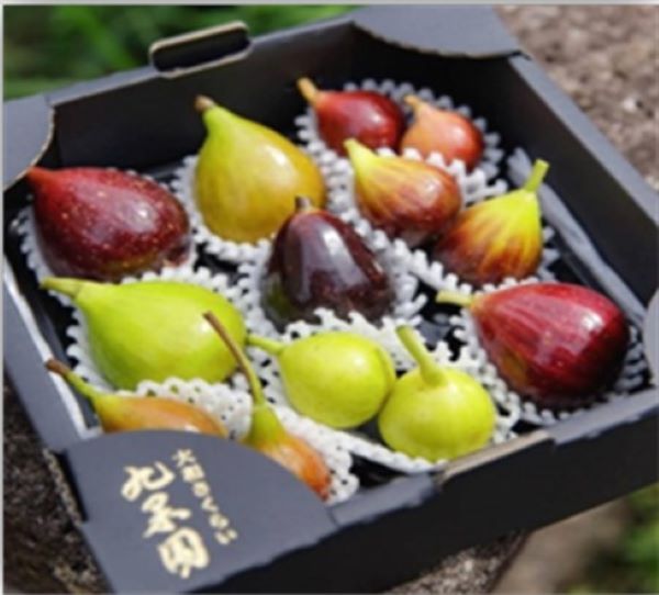 【多品種詰合わせ商品「ひみこの石」】