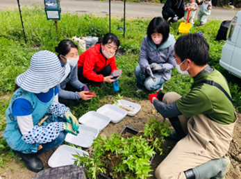 【大和トウキの植え付けイベントの様子】