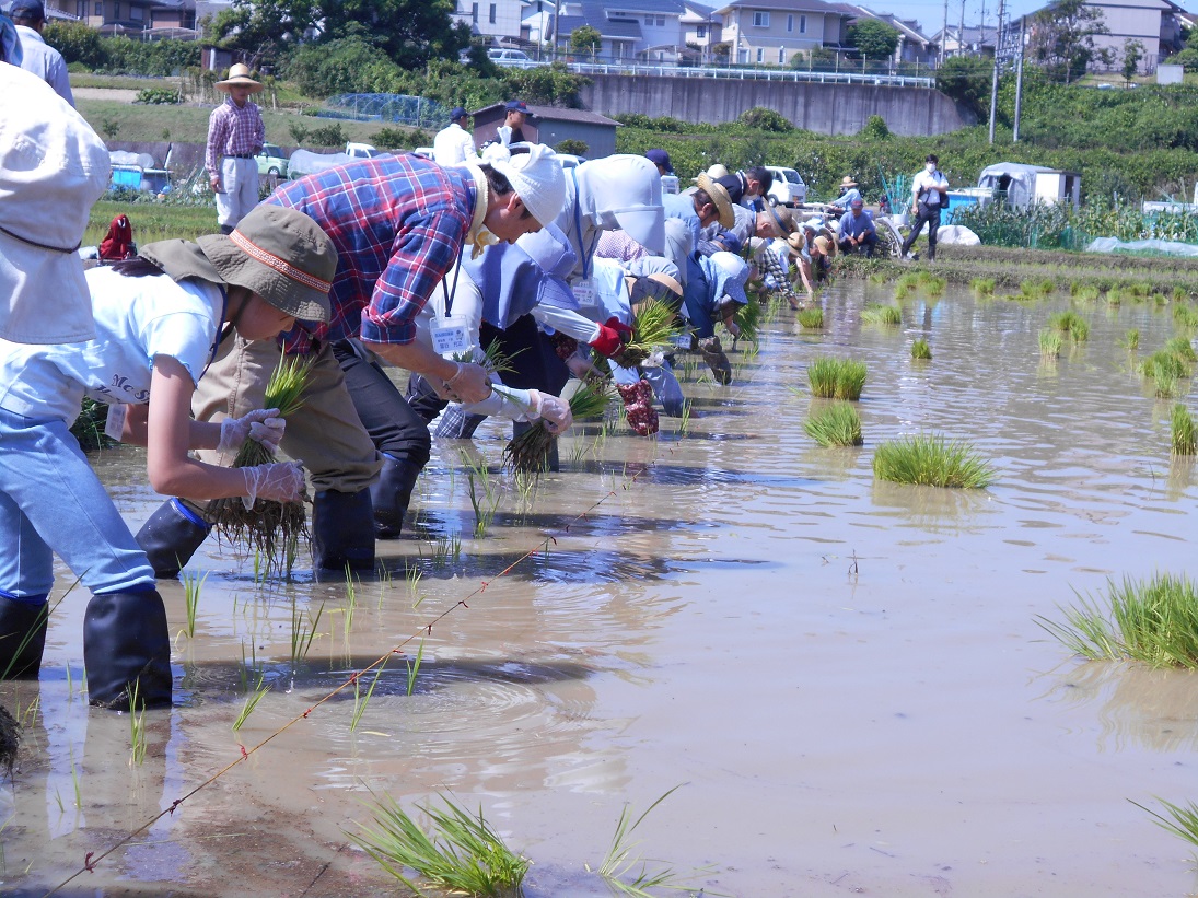 【田んぼの楽耕の活動風景】