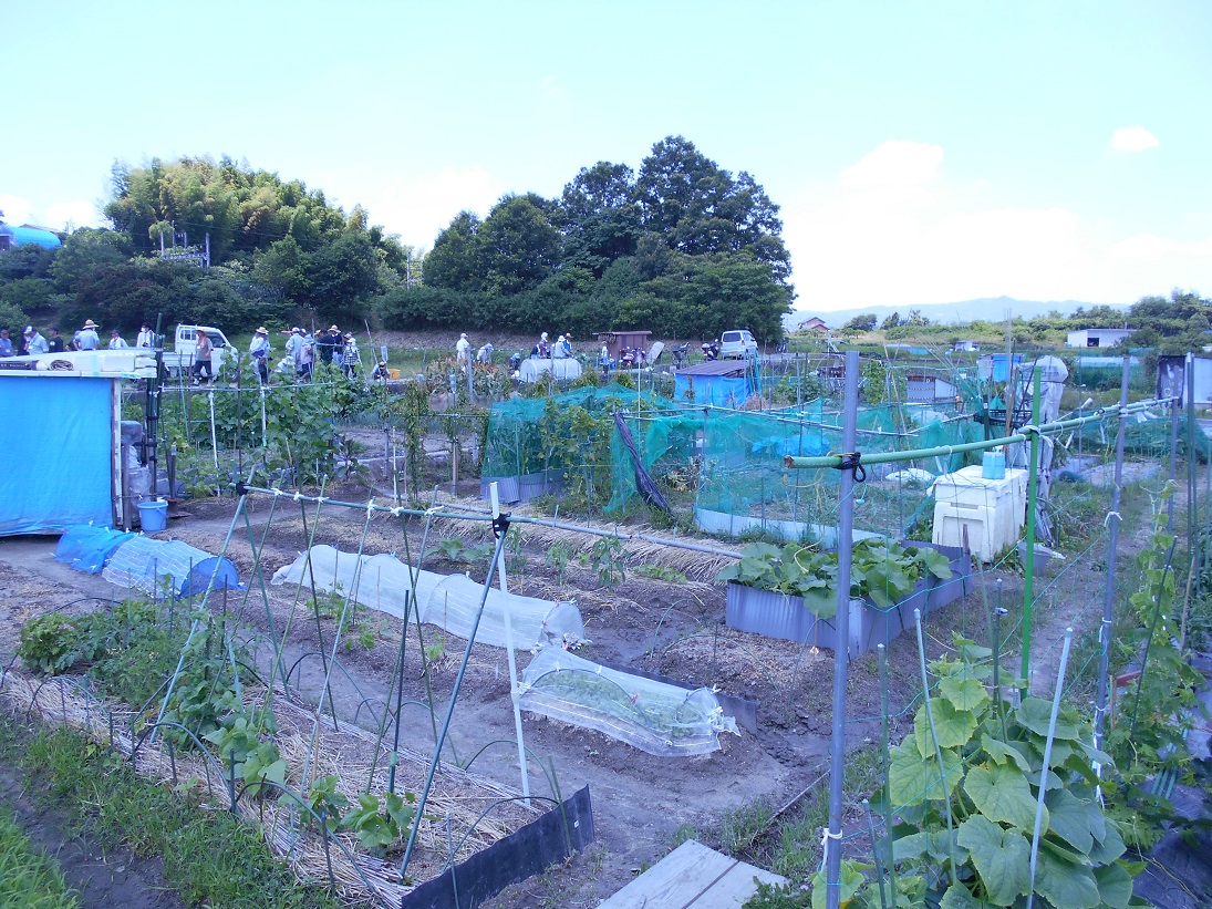 体験農園