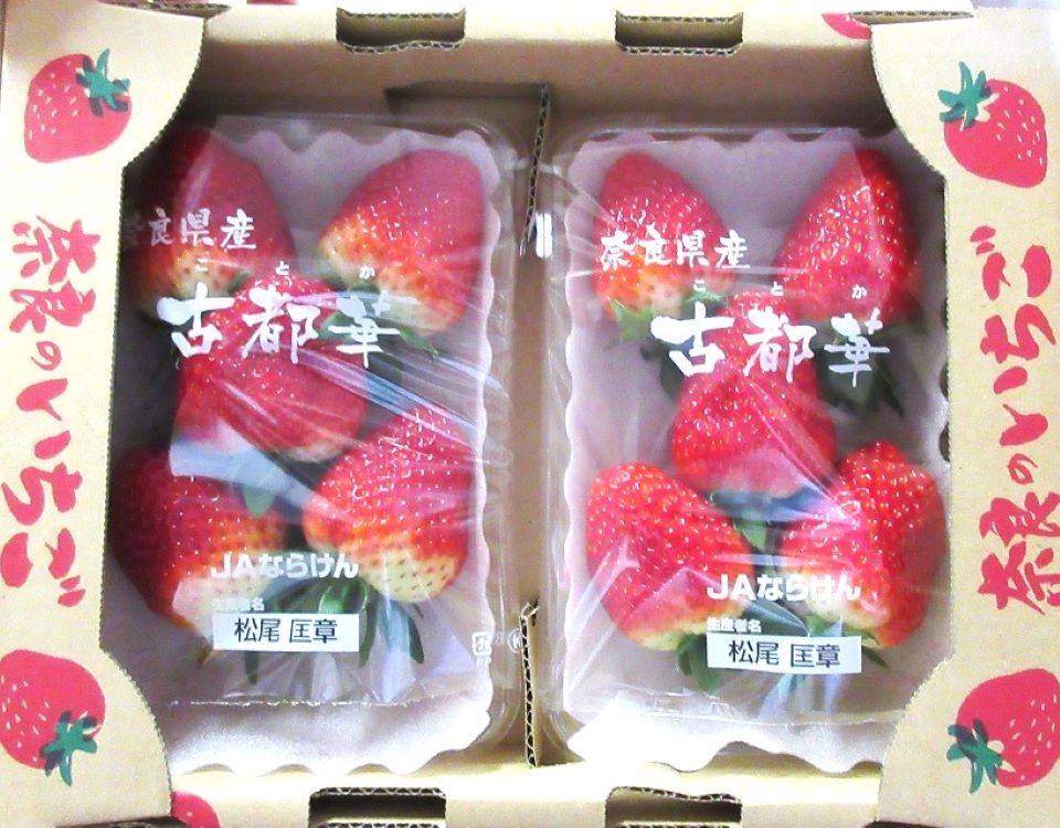 6Lサイズ