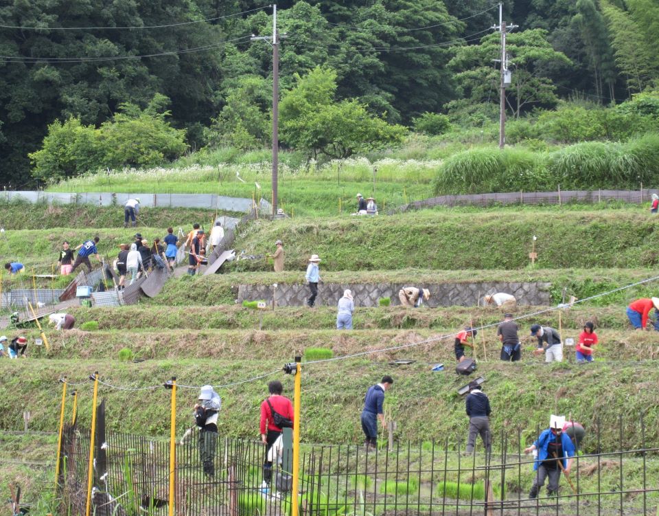 田植えスタート
