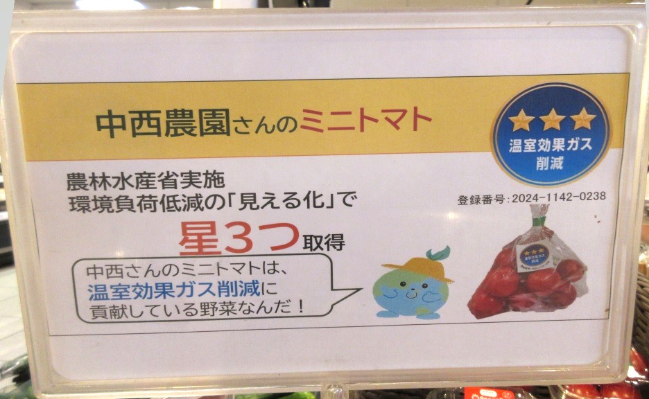 ポップ