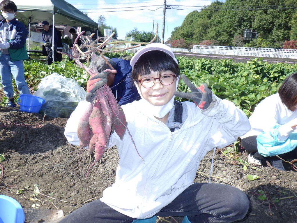さつまいも堀りに夢中