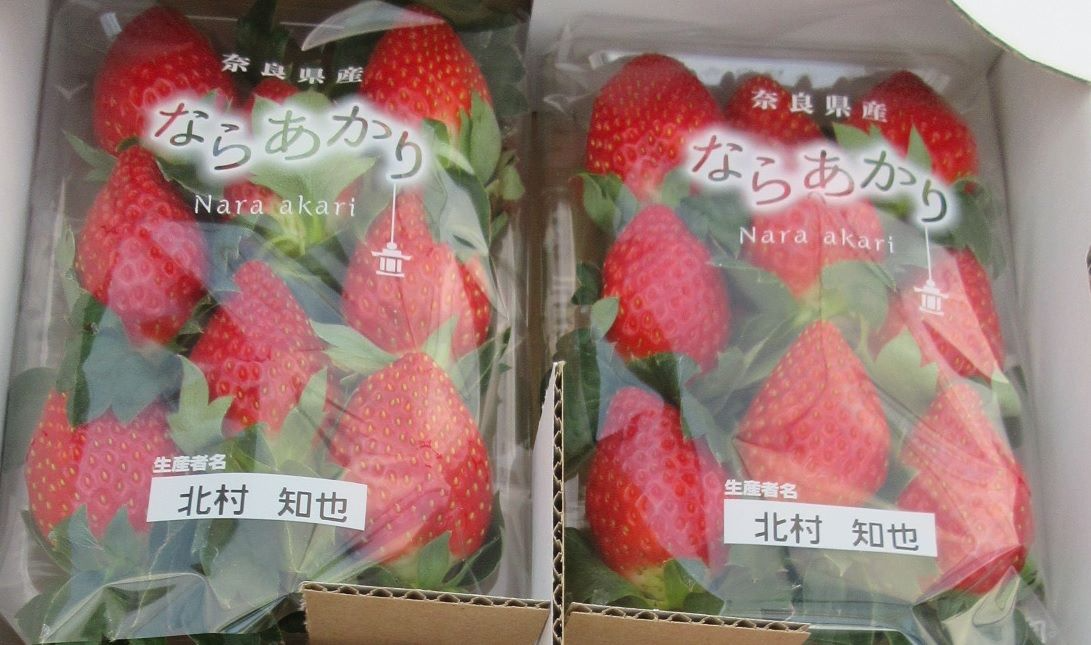 いちご販売