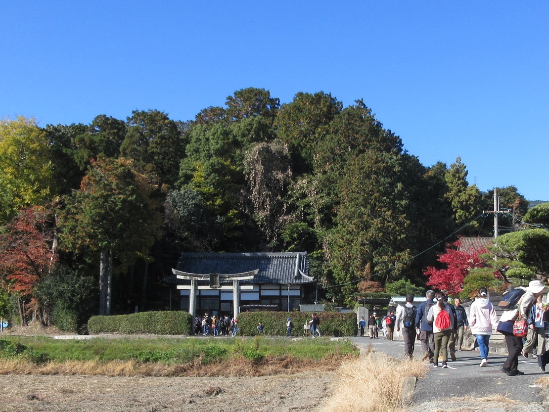 ウォークの様子1