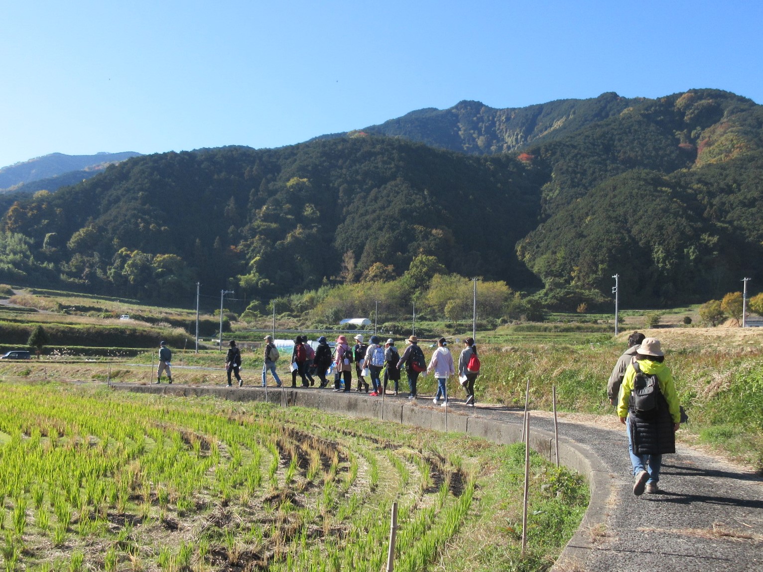 葛城山を望みながらウォーキング