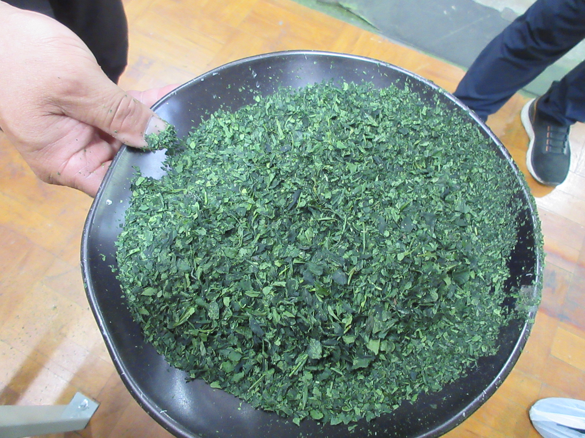 仕上げ後の「てん茶」の茶葉