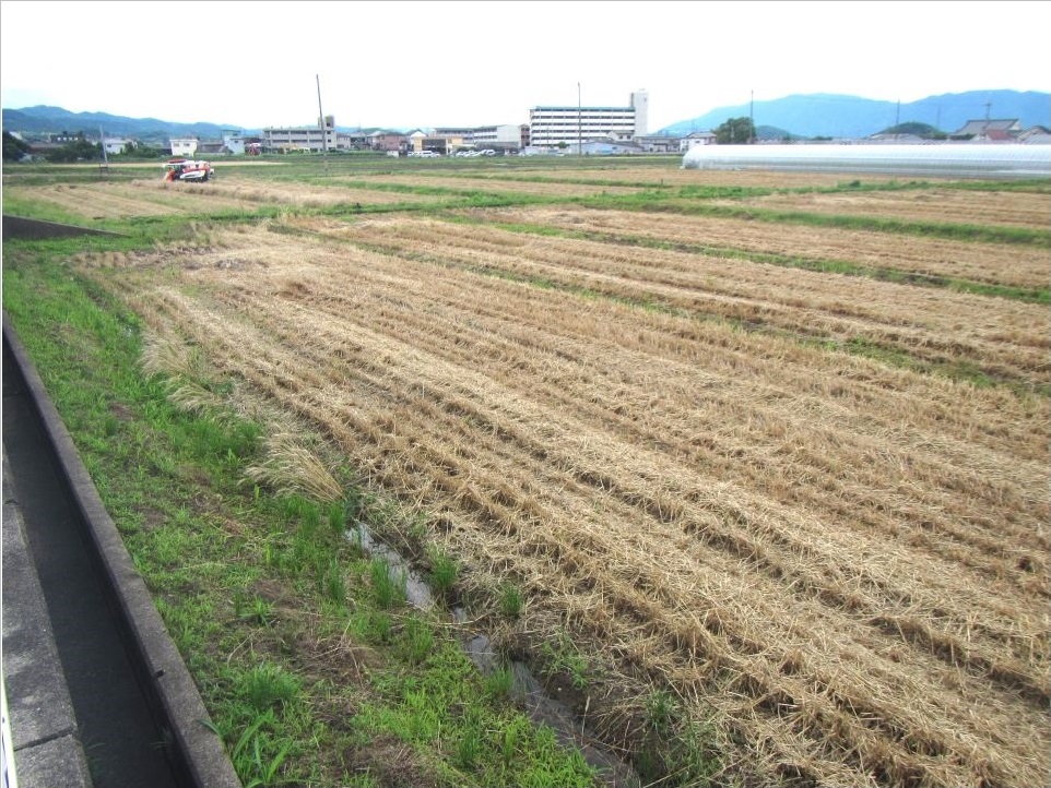 収穫後の圃場