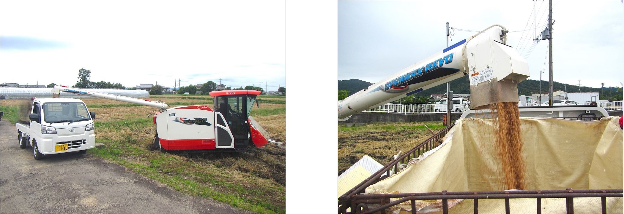 収穫した小麦は乾燥調製施設へ搬入します