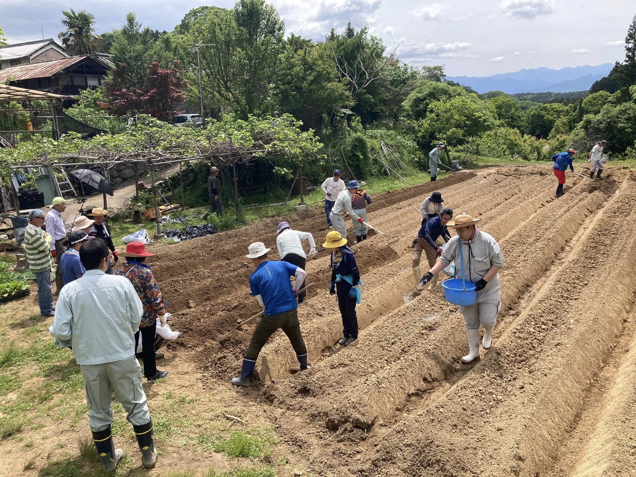 「農業塾」による農作業の様子