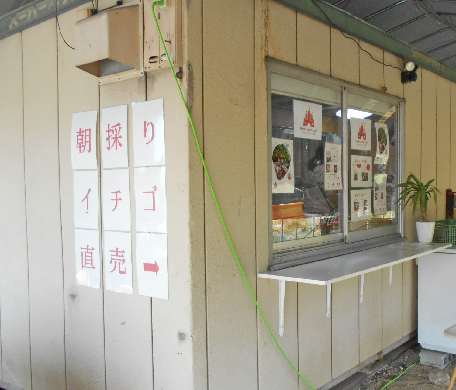 直営店